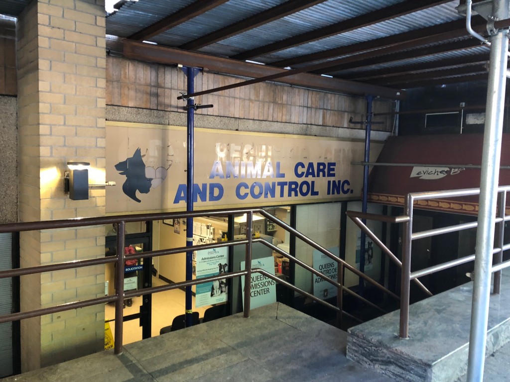 Animal Care & Control Drop Of Storefront is currently at 92-29 Queens Blvd. along Horace Harding Expressway.